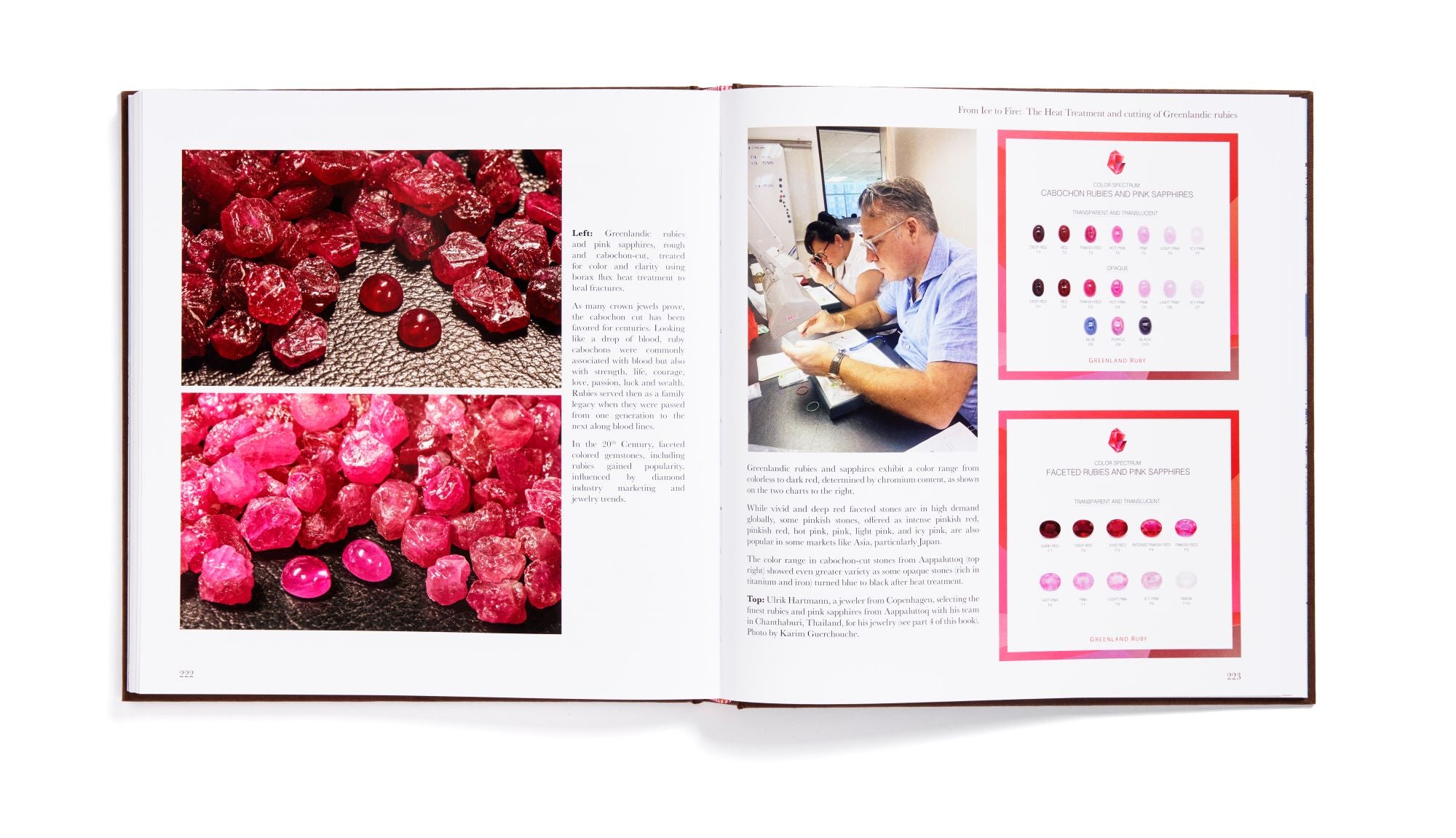 Bog: Rubies from Greenland by Vincent Pardieu