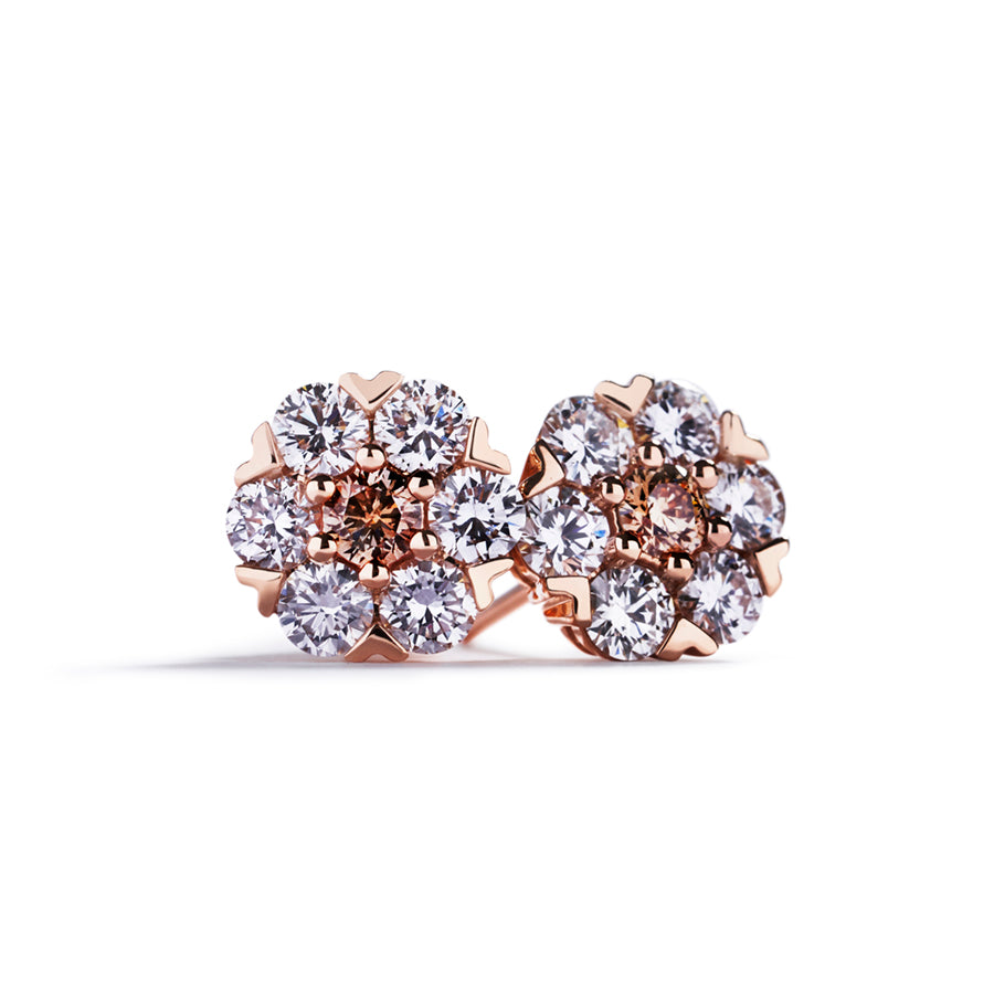 Roset ørestikker med 0,15 ct. Champagne diamanter samt 0,85 ct. brillanter